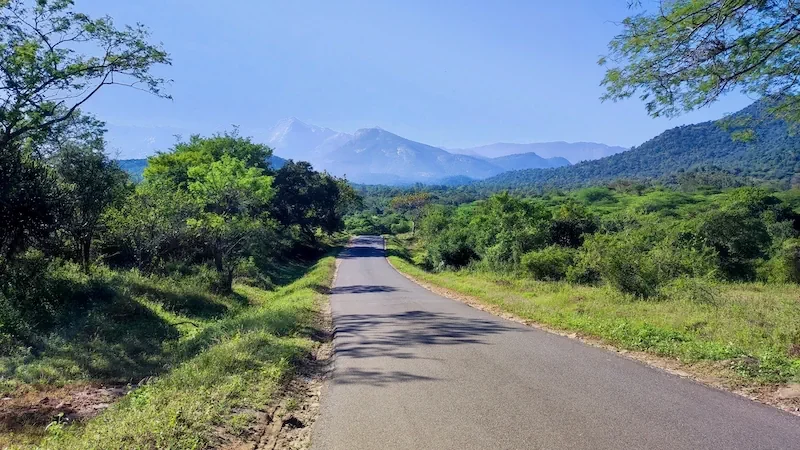 Pollachi - Munnar